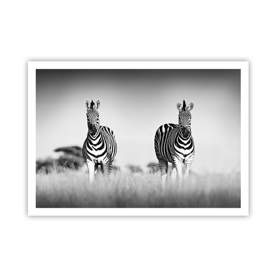 Obraz - Plakat - A jednak świat jest czarno-biały - 100x70cm - Zwierzęta Zebra Czarno-Biały - Foto Plakaty bez ramy na ścianę do Salonu Sypialni ARTTOR ARTTOR