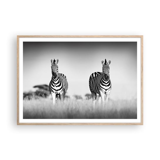 Obraz - Plakat - A jednak świat jest czarno-biały - 100x70cm - Zwierzęta Zebra Czarno-Biały - Foto Plakaty w ramie koloru jasny dąb do Salonu Sypialni ARTTOR ARTTOR