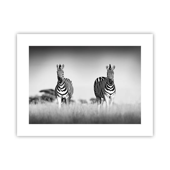 Obraz - Plakat - A jednak świat jest czarno-biały - 40x30cm - Zwierzęta Zebra Czarno-Biały - Foto Plakaty na ścianę bez ramy - Plakat do Salonu Sypialni ARTTOR ARTTOR