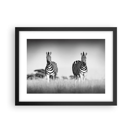 Obraz - Plakat - A jednak świat jest czarno-biały - 40x30cm - Zwierzęta Zebra Czarno-Biały - Foto Plakaty na ścianę w czarnej ramie - Plakat do Salonu Sypialni ARTTOR ARTTOR