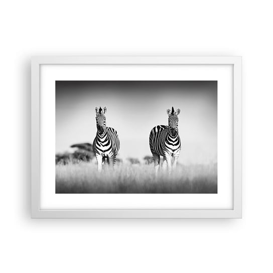 Obraz - Plakat - A jednak świat jest czarno-biały - 40x30cm - Zwierzęta Zebra Czarno-Biały - Foto Plakaty na ścianę w ramie białej - Plakat do Salonu Sypialni ARTTOR ARTTOR