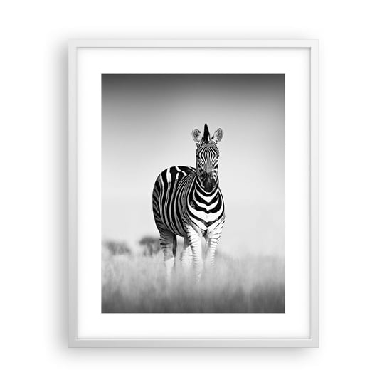 Obraz - Plakat - A jednak świat jest czarno-biały - 40x50cm - Zwierzęta Zebra Czarno-Biały - Foto Plakaty w ramie koloru białego do Salonu Sypialni ARTTOR ARTTOR