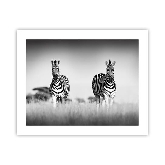Obraz - Plakat - A jednak świat jest czarno-biały - 50x40cm - Zwierzęta Zebra Czarno-Biały - Foto Plakaty bez ramy do Salonu Sypialni ARTTOR ARTTOR
