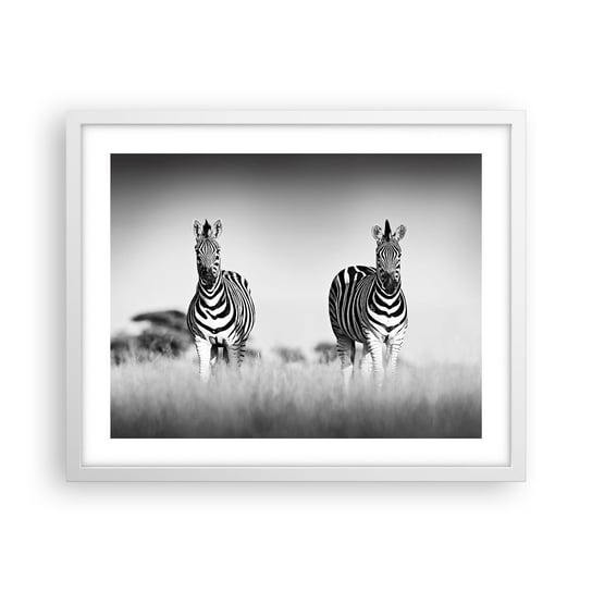 Obraz - Plakat - A jednak świat jest czarno-biały - 50x40cm - Zwierzęta Zebra Czarno-Biały - Foto Plakaty w ramie koloru białego do Salonu Sypialni ARTTOR ARTTOR