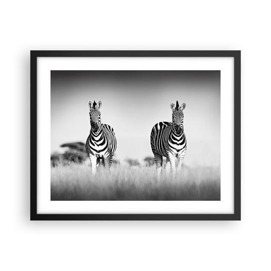 Obraz - Plakat - A jednak świat jest czarno-biały - 50x40cm - Zwierzęta Zebra Czarno-Biały - Foto Plakaty w ramie koloru czarnego do Salonu Sypialni ARTTOR ARTTOR