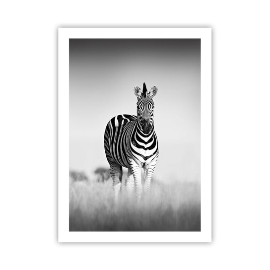 Obraz - Plakat - A jednak świat jest czarno-biały - 50x70cm - Zwierzęta Zebra Czarno-Biały - Nowoczesny modny obraz Plakat bez ramy do Salonu Sypialni ARTTOR ARTTOR