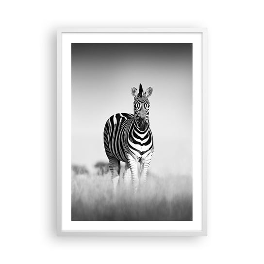 Obraz - Plakat - A jednak świat jest czarno-biały - 50x70cm - Zwierzęta Zebra Czarno-Biały - Nowoczesny modny obraz Plakat rama biała ARTTOR ARTTOR