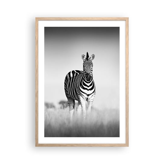 Obraz - Plakat - A jednak świat jest czarno-biały - 50x70cm - Zwierzęta Zebra Czarno-Biały - Nowoczesny modny obraz Plakat rama jasny dąb ARTTOR ARTTOR