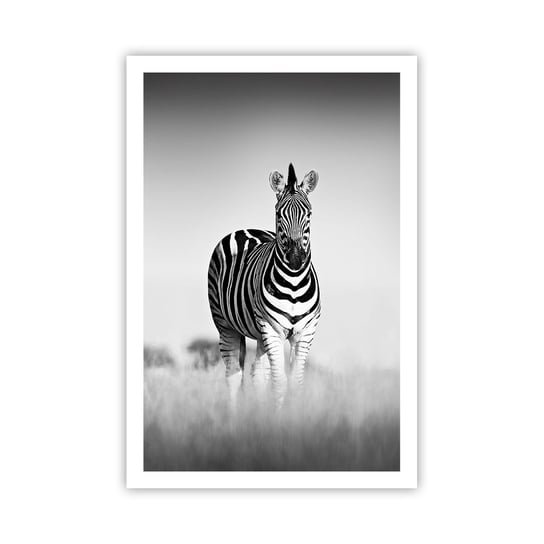 Obraz - Plakat - A jednak świat jest czarno-biały - 61x91cm - Zwierzęta Zebra Czarno-Biały - Foto Plakaty na ścianę bez ramy - Plakat do Salonu Sypialni ARTTOR ARTTOR