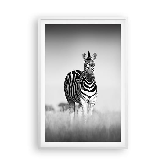 Obraz - Plakat - A jednak świat jest czarno-biały - 61x91cm - Zwierzęta Zebra Czarno-Biały - Foto Plakaty na ścianę w ramie białej - Plakat do Salonu Sypialni ARTTOR ARTTOR