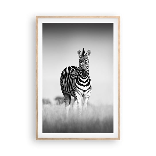 Obraz - Plakat - A jednak świat jest czarno-biały - 61x91cm - Zwierzęta Zebra Czarno-Biały - Foto Plakaty na ścianę w ramie jasny dąb - Plakat do Salonu Sypialni ARTTOR ARTTOR