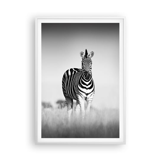 Obraz - Plakat - A jednak świat jest czarno-biały - 70x100cm - Zwierzęta Zebra Czarno-Biały - Foto Plakaty w ramie koloru białego do Salonu Sypialni ARTTOR ARTTOR
