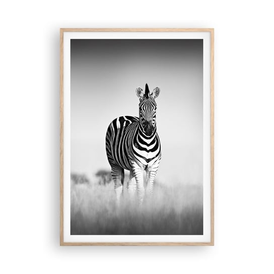 Obraz - Plakat - A jednak świat jest czarno-biały - 70x100cm - Zwierzęta Zebra Czarno-Biały - Foto Plakaty w ramie koloru jasny dąb do Salonu Sypialni ARTTOR ARTTOR