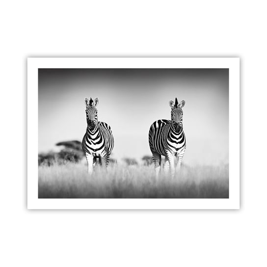 Obraz - Plakat - A jednak świat jest czarno-biały - 70x50cm - Zwierzęta Zebra Czarno-Biały - Nowoczesny modny obraz Plakat bez ramy do Salonu Sypialni ARTTOR ARTTOR