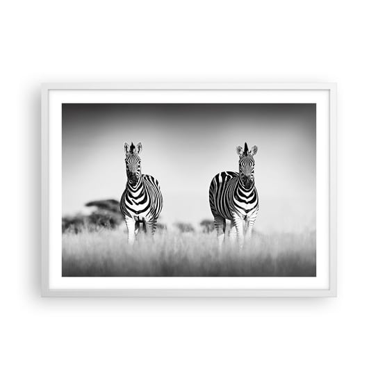 Obraz - Plakat - A jednak świat jest czarno-biały - 70x50cm - Zwierzęta Zebra Czarno-Biały - Nowoczesny modny obraz Plakat rama biała ARTTOR ARTTOR