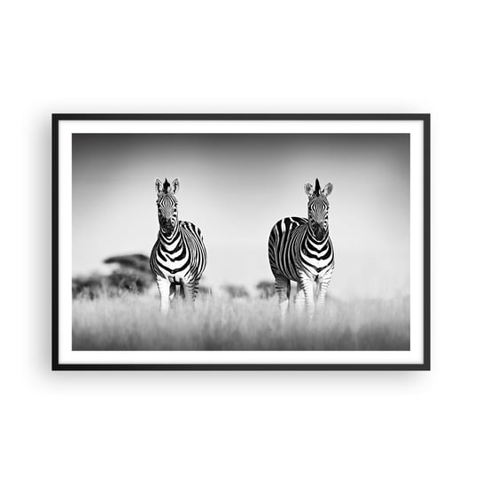 Obraz - Plakat - A jednak świat jest czarno-biały - 91x61cm - Zwierzęta Zebra Czarno-Biały - Foto Plakaty na ścianę w czarnej ramie - Plakat do Salonu Sypialni ARTTOR ARTTOR