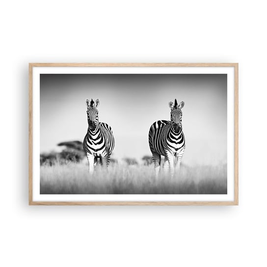 Obraz - Plakat - A jednak świat jest czarno-biały - 91x61cm - Zwierzęta Zebra Czarno-Biały - Foto Plakaty na ścianę w ramie jasny dąb - Plakat do Salonu Sypialni ARTTOR ARTTOR