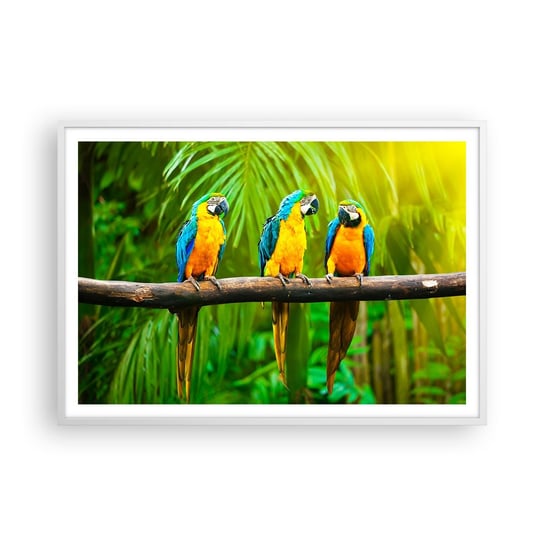 Obraz - Plakat - A słyszałaś, że ona…? - 100x70cm - Ptaki Papugi Natura - Foto Plakaty w ramie koloru białego do Salonu Sypialni ARTTOR ARTTOR