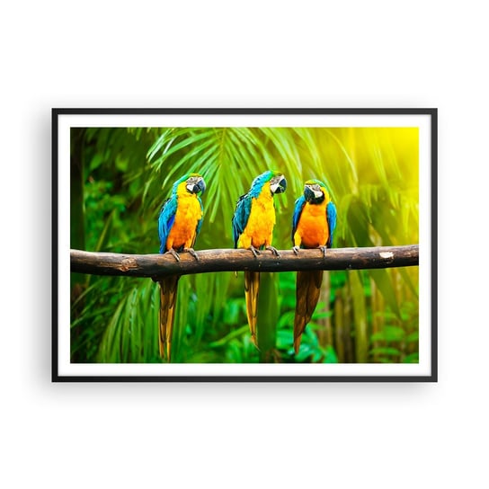 Obraz - Plakat - A słyszałaś, że ona…? - 100x70cm - Ptaki Papugi Natura - Foto Plakaty w ramie koloru czarnego do Salonu Sypialni ARTTOR ARTTOR