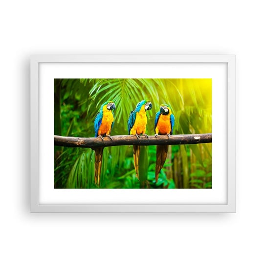 Obraz - Plakat - A słyszałaś, że ona…? - 40x30cm - Ptaki Papugi Natura - Foto Plakaty na ścianę w ramie białej - Plakat do Salonu Sypialni ARTTOR ARTTOR
