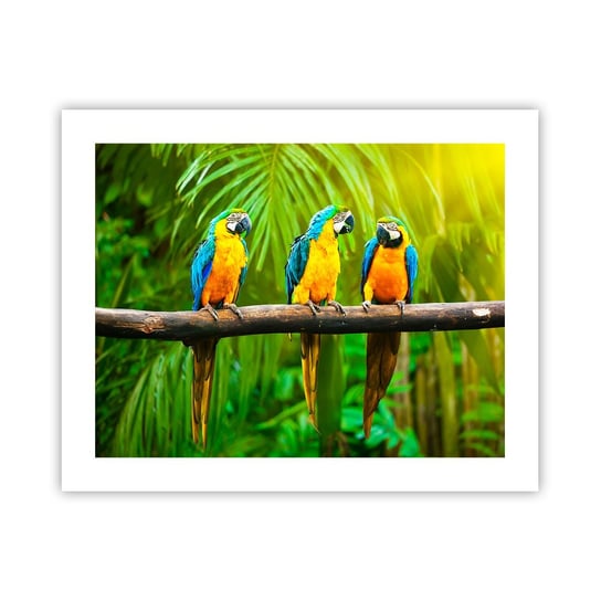 Obraz - Plakat - A słyszałaś, że ona…? - 50x40cm - Ptaki Papugi Natura - Foto Plakaty bez ramy do Salonu Sypialni ARTTOR ARTTOR