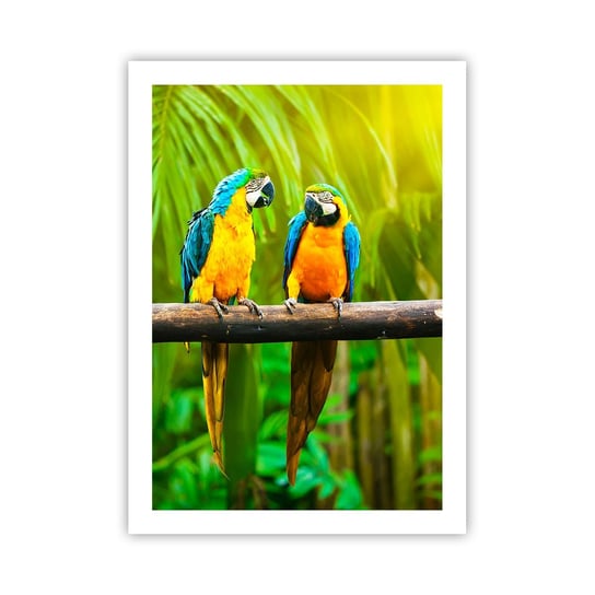 Obraz - Plakat - A słyszałaś, że ona…? - 50x70cm - Ptaki Papugi Natura - Nowoczesny modny obraz Plakat bez ramy do Salonu Sypialni ARTTOR ARTTOR