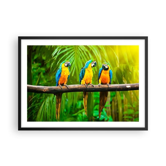 Obraz - Plakat - A słyszałaś, że ona…? - 70x50cm - Ptaki Papugi Natura - Nowoczesny modny obraz Plakat czarna rama ARTTOR ARTTOR