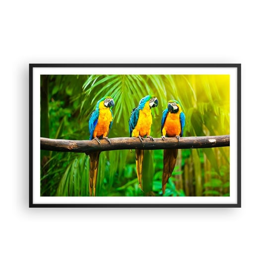 Obraz - Plakat - A słyszałaś, że ona…? - 91x61cm - Ptaki Papugi Natura - Foto Plakaty na ścianę w czarnej ramie - Plakat do Salonu Sypialni ARTTOR ARTTOR