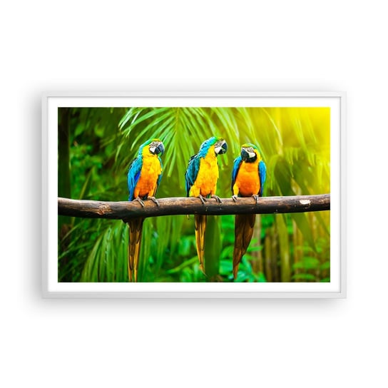 Obraz - Plakat - A słyszałaś, że ona…? - 91x61cm - Ptaki Papugi Natura - Foto Plakaty na ścianę w ramie białej - Plakat do Salonu Sypialni ARTTOR ARTTOR