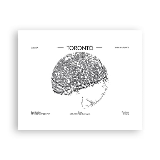 Obraz - Plakat - Anatomia Toronto - 50x40cm - Mapa Toronto Kanada - Foto Plakaty bez ramy do Salonu Sypialni ARTTOR ARTTOR