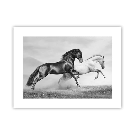 Obraz - Plakat - Anioły i demony - 40x30cm - Zwierzęta Konie Natura - Foto Plakaty na ścianę bez ramy - Plakat do Salonu Sypialni ARTTOR ARTTOR