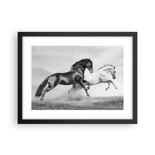 Obraz - Plakat - Anioły i demony - 40x30cm - Zwierzęta Konie Natura - Foto Plakaty na ścianę w czarnej ramie - Plakat do Salonu Sypialni ARTTOR ARTTOR