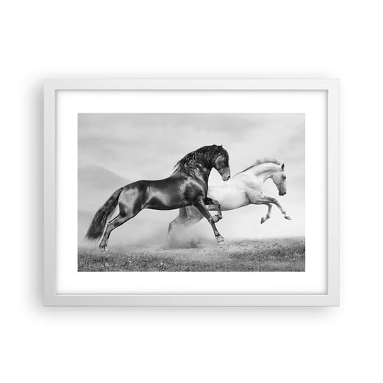 Obraz - Plakat - Anioły i demony - 40x30cm - Zwierzęta Konie Natura - Foto Plakaty na ścianę w ramie białej - Plakat do Salonu Sypialni ARTTOR ARTTOR