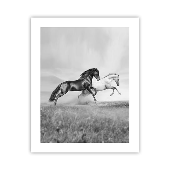 Obraz - Plakat - Anioły i demony - 40x50cm - Zwierzęta Konie Natura - Foto Plakaty bez ramy do Salonu Sypialni ARTTOR ARTTOR