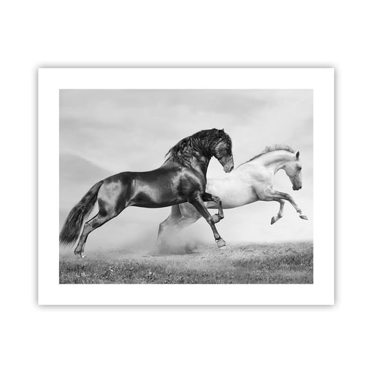 Obraz - Plakat - Anioły i demony - 50x40cm - Zwierzęta Konie Natura - Foto Plakaty bez ramy do Salonu Sypialni ARTTOR ARTTOR