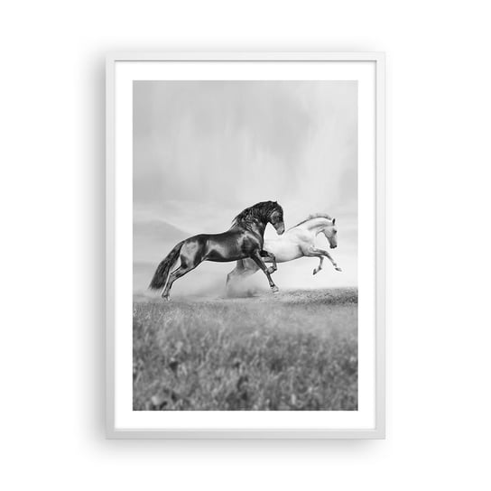 Obraz - Plakat - Anioły i demony - 50x70cm - Zwierzęta Konie Natura - Nowoczesny modny obraz Plakat rama biała ARTTOR ARTTOR