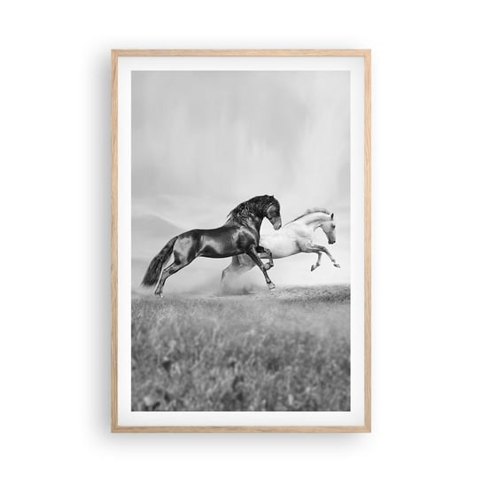 Obraz - Plakat - Anioły i demony - 61x91cm - Zwierzęta Konie Natura - Foto Plakaty na ścianę w ramie jasny dąb - Plakat do Salonu Sypialni ARTTOR ARTTOR