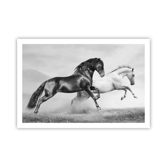 Obraz - Plakat - Anioły i demony - 91x61cm - Zwierzęta Konie Natura - Foto Plakaty na ścianę bez ramy - Plakat do Salonu Sypialni ARTTOR ARTTOR