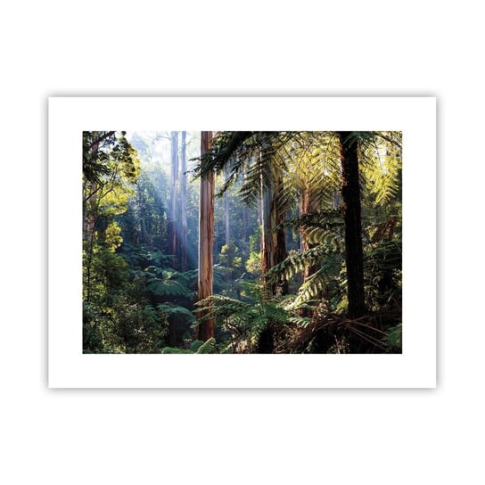 Obraz - Plakat - Baśń lasu - 40x30cm - Krajobraz Las Natura - Foto Plakaty na ścianę bez ramy - Plakat do Salonu Sypialni ARTTOR ARTTOR