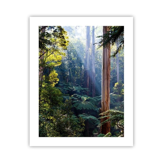 Obraz - Plakat - Baśń lasu - 40x50cm - Krajobraz Las Natura - Foto Plakaty bez ramy do Salonu Sypialni ARTTOR ARTTOR