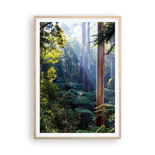 Obraz - Plakat - Baśń lasu - 70x100cm - Krajobraz Las Natura - Foto Plakaty w ramie koloru jasny dąb do Salonu Sypialni ARTTOR ARTTOR
