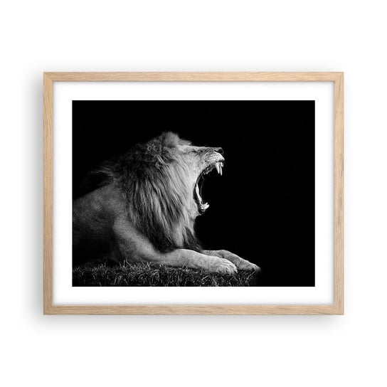 Obraz - Plakat - Bez żadnych wątpliwości - 50x40cm - Lew Zwierzęta Czarno-Biały - Foto Plakaty w ramie koloru jasny dąb do Salonu Sypialni ARTTOR ARTTOR