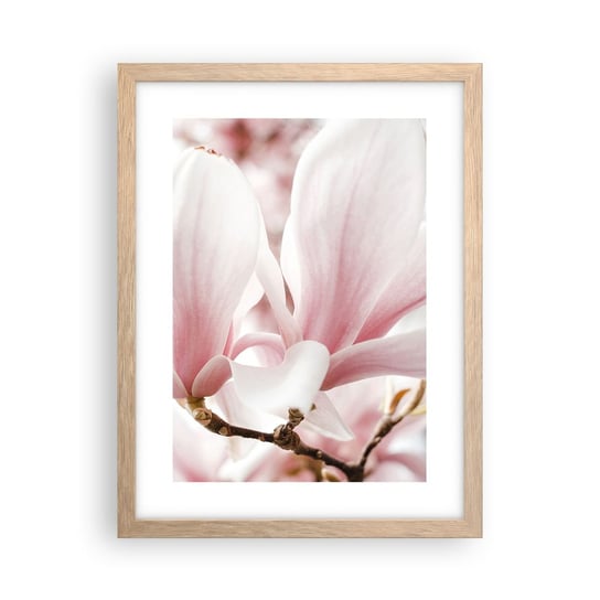 Obraz - Plakat - Bezmiar czułości - 30x40cm - Gałązka Magnolii Kwiat Magnolia - Foto Plakaty na ścianę w ramie jasny dąb - Plakat do Salonu Sypialni ARTTOR ARTTOR