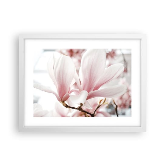 Obraz - Plakat - Bezmiar czułości - 40x30cm - Gałązka Magnolii Kwiat Magnolia - Foto Plakaty na ścianę w ramie białej - Plakat do Salonu Sypialni ARTTOR ARTTOR