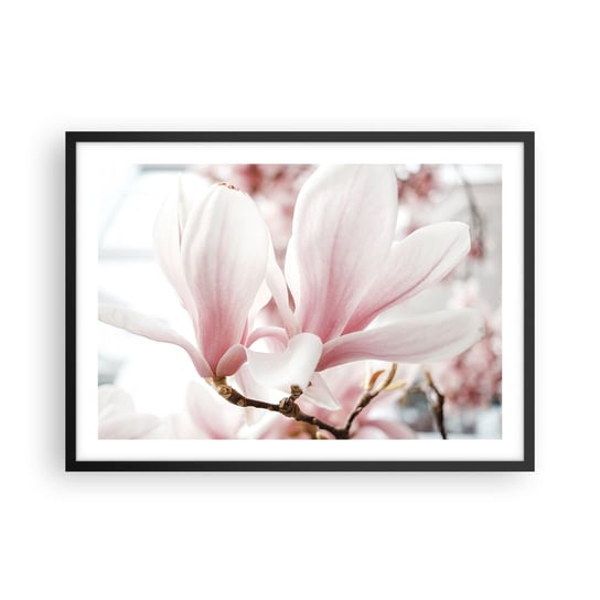 Obraz - Plakat - Bezmiar czułości - 70x50cm - Gałązka Magnolii Kwiat Magnolia - Nowoczesny modny obraz Plakat czarna rama ARTTOR ARTTOR