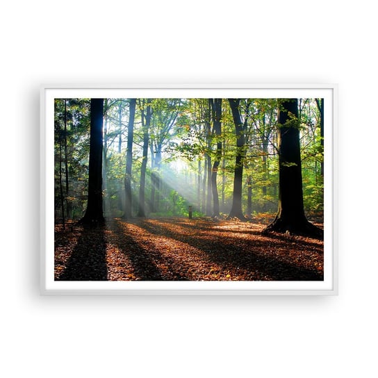 Obraz - Plakat - Blaski i cienie - 100x70cm - Las Drzewa Natura - Foto Plakaty w ramie koloru białego do Salonu Sypialni ARTTOR ARTTOR