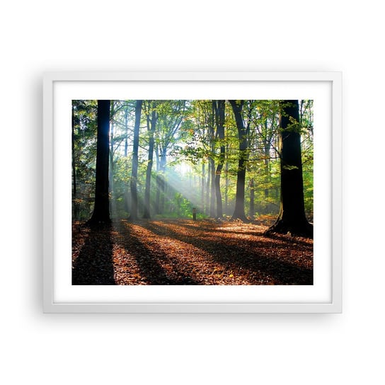 Obraz - Plakat - Blaski i cienie - 50x40cm - Las Drzewa Natura - Foto Plakaty w ramie koloru białego do Salonu Sypialni ARTTOR ARTTOR