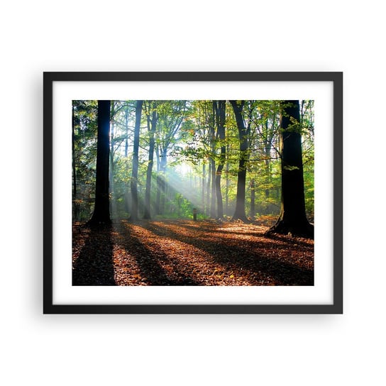 Obraz - Plakat - Blaski i cienie - 50x40cm - Las Drzewa Natura - Foto Plakaty w ramie koloru czarnego do Salonu Sypialni ARTTOR ARTTOR