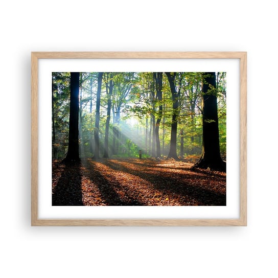 Obraz - Plakat - Blaski i cienie - 50x40cm - Las Drzewa Natura - Foto Plakaty w ramie koloru jasny dąb do Salonu Sypialni ARTTOR ARTTOR