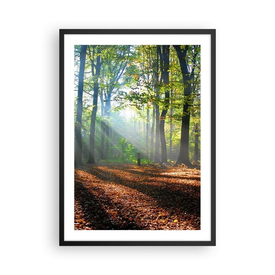 Obraz - Plakat - Blaski i cienie - 50x70cm - Las Drzewa Natura - Nowoczesny modny obraz Plakat czarna rama ARTTOR ARTTOR